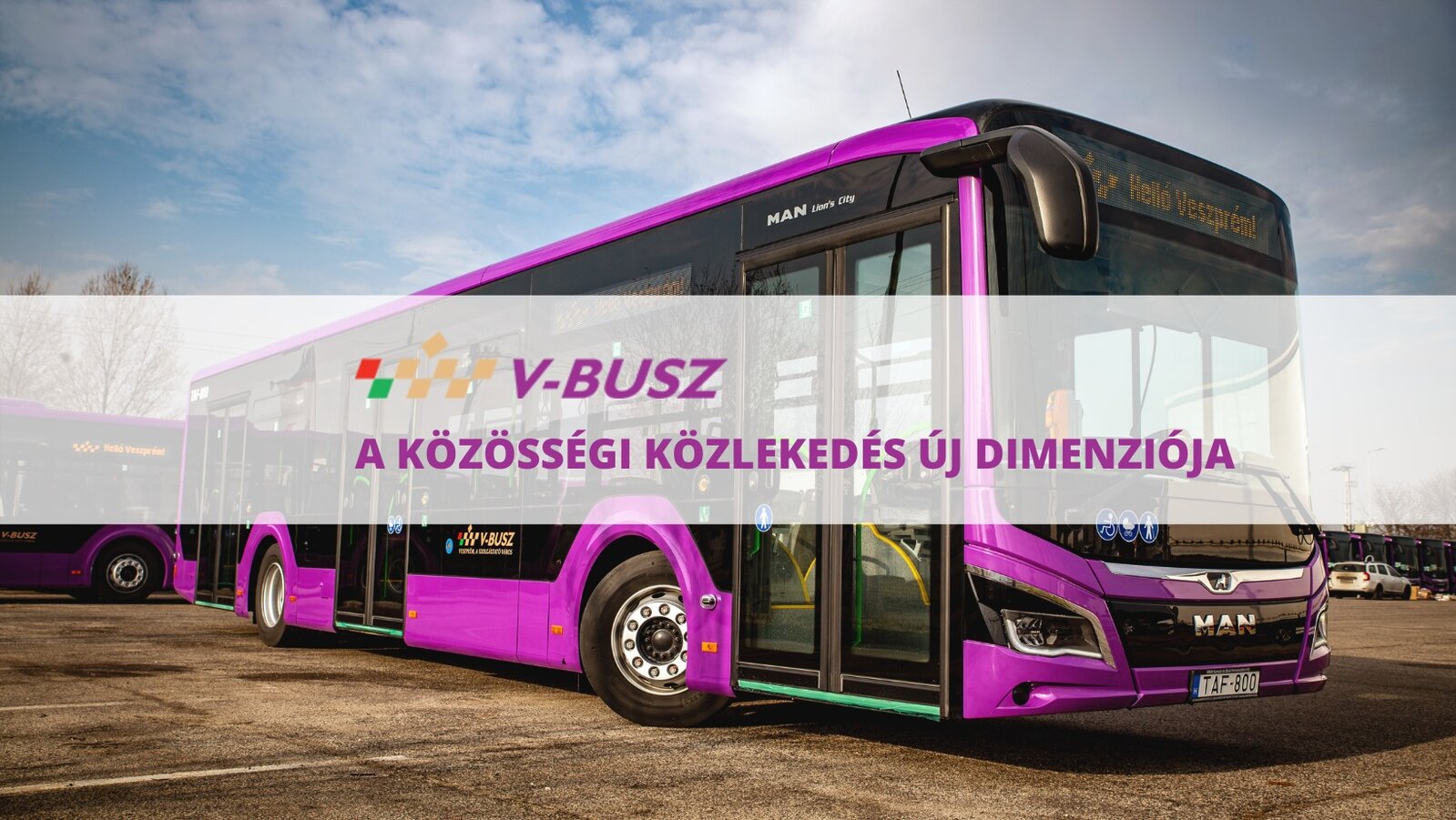 V-Busz