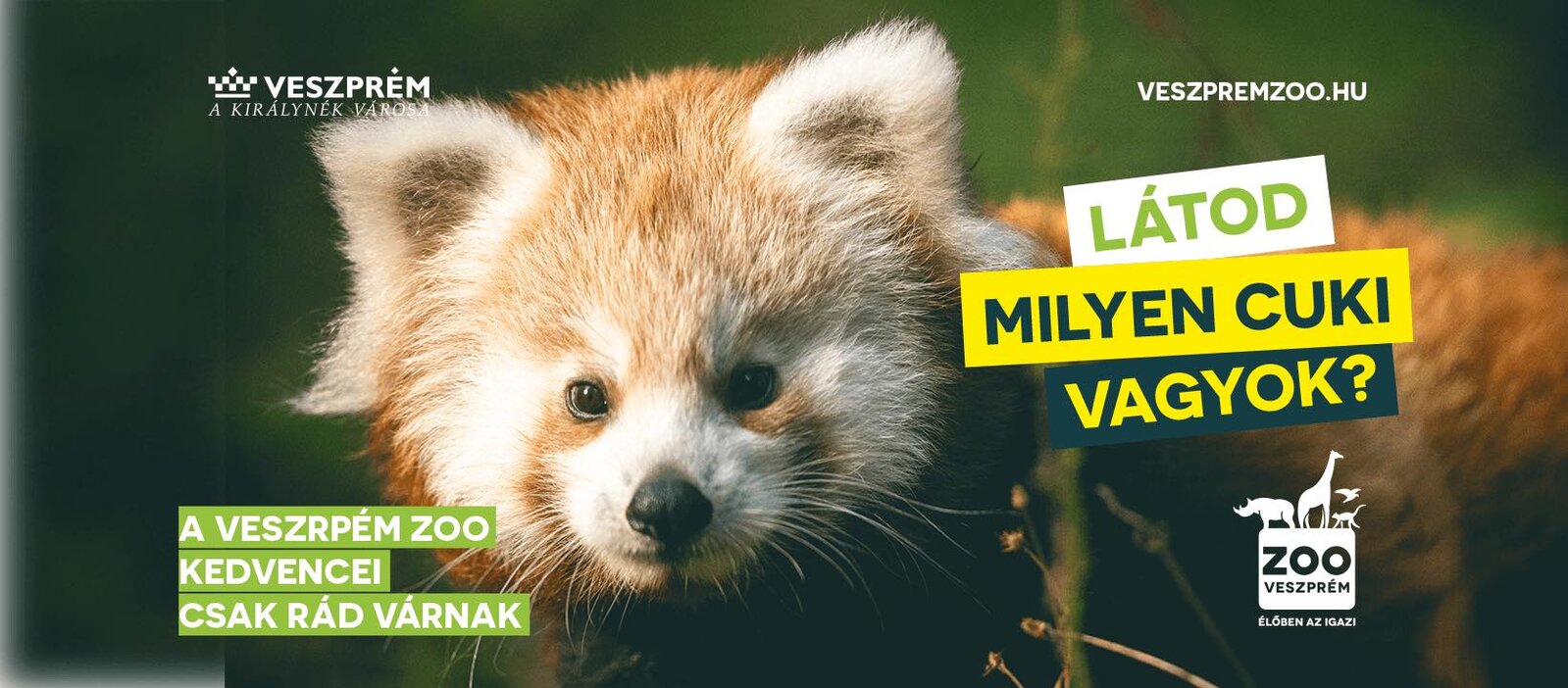 Veszprémi Állatkert